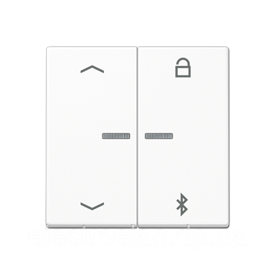 Таймер універсальний Bluetooth «стрілки» A1751PBTWW A1751BFPBTWW, фото 1