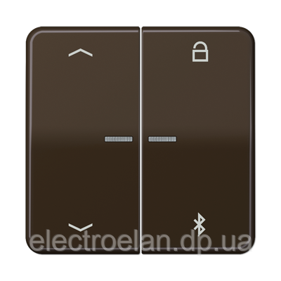 Таймер універсальний Bluetooth «стрілки» CD1751PBTBR