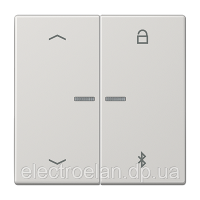 Таймер універсальний Bluetooth «стрілки» LS1751PBTLG
