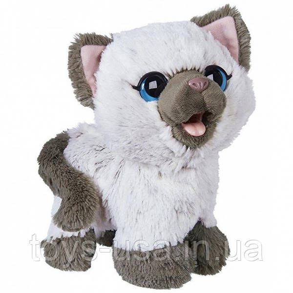 Plush My Poopin Kitty FurReal Furry Pets Toy Cat: Kami My Poopin