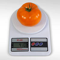 Айсан KS-18 F1 (1000 нас.) насіння томату Kitano