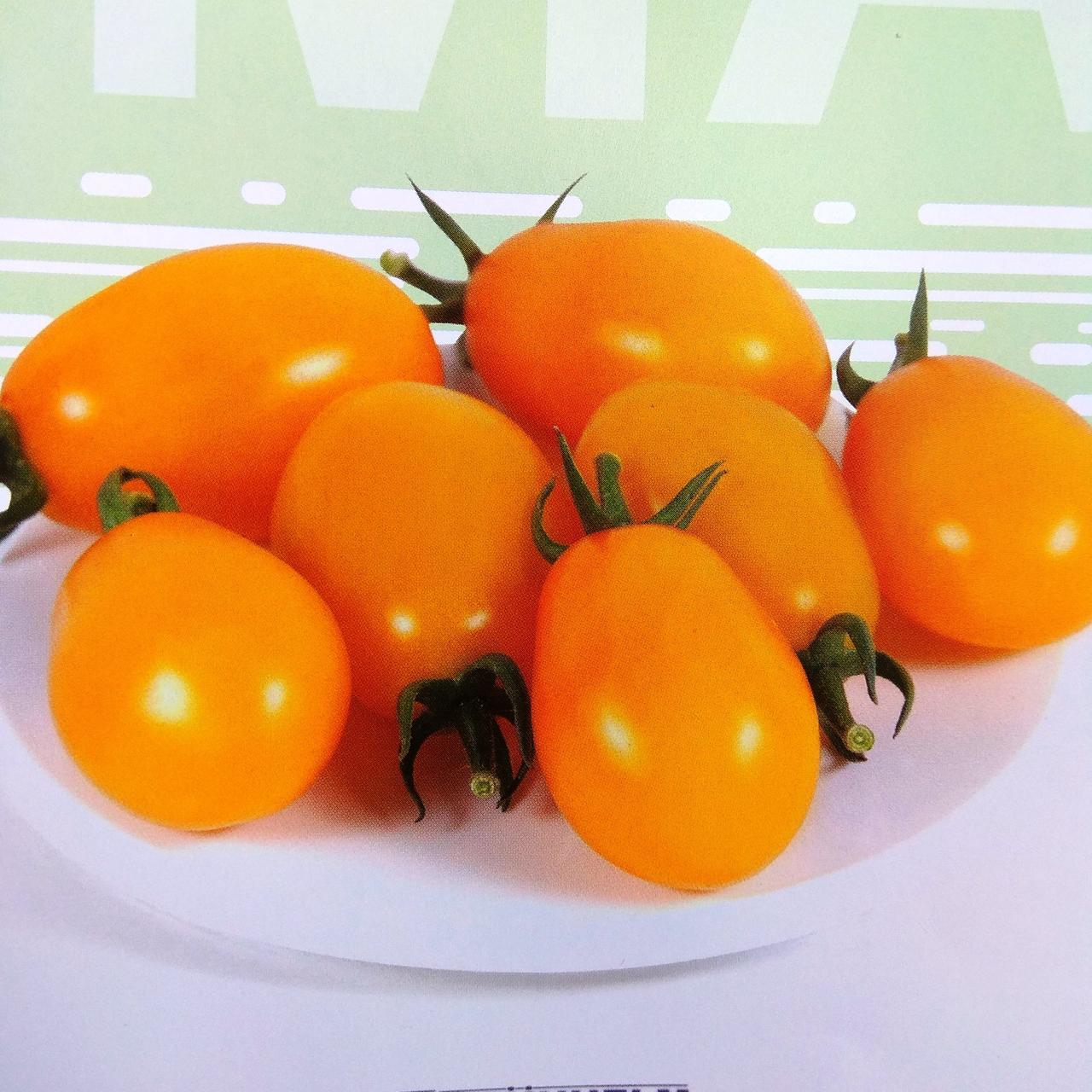 Насіння томату KS-3690 F1 (250 нас.) Kitano
