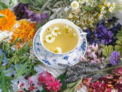 Трав'яні, квіткові та ягідні чаї – коли їх пити і чим вони корисні?