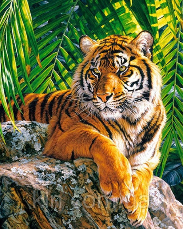 Алмазна мозаїка без коробки MyArt Сильний тигр 40 х 30 см (арт. MA866), фото 1