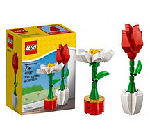 Lego Iconic Квіти 40187