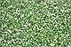 Конюшина біла (ниэькорослий, декоративний сорт Рівендел), 1 кг, фото 4