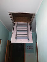 Чердачная лестница Luxor Attic stairs 60х80