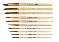 Кисті (білка)