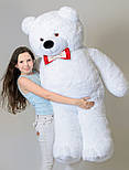 Плюшевий ведмедик Mister Medved Білий 160 см, фото 3