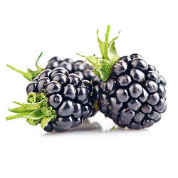 Ожина сублімована