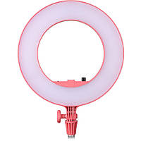 Студійне світло Godox LR180 Daylight Ringlight (Pink) (LR180P)