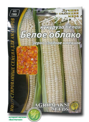 Насіння кукурудзи «Біле хмара» 15 г, фото 1