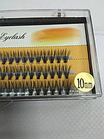 Пучкові вії Nesura Eyelash 20D 10мм