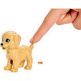 Барбі з вихованцями догляд за цуценятами Doggy Daycare Doll&Pets., фото 6