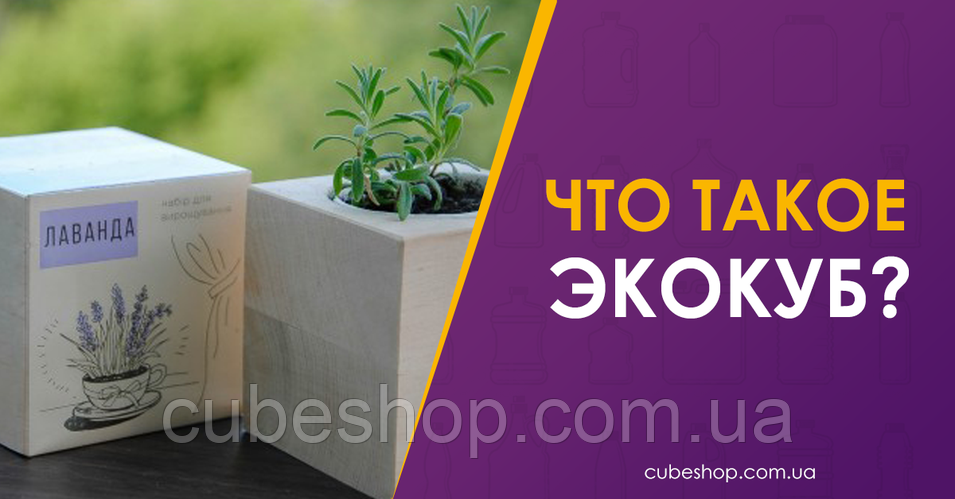 Что такое экокуб - набор для выращивания?