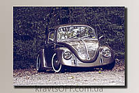 Картина на полотні "Volkswagen Beetle" ( 38х54 см )