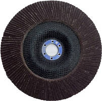 Круг пелюстковий шліфувальний торцевий "SPRUT" 180*22 р 40
