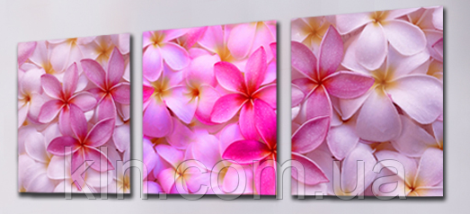 Картина за номерами Babylon Триптих. Квітковий килим DZ083 50 х 150 см, фото 1