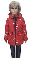 Стильный куртка для девочек красного цвета в серебристые вишенки