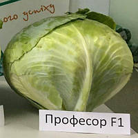 Професор F1 (2500 нас.) насіння капусти б/к Syngenta