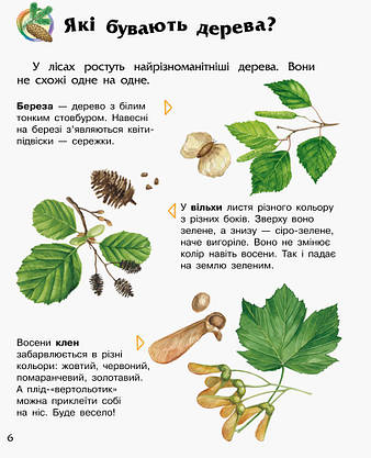 Ранок Енцик. дошкільника (Ліс) (У), фото 3