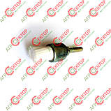 Щітка камери пресування на прес-підбирач Deutz-Fahr 2023050140.00, фото 6