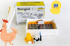 Інкубатор Теплуша Люкс на 72 яйця з автопереворотом ІБ 220/50 ТА теновий