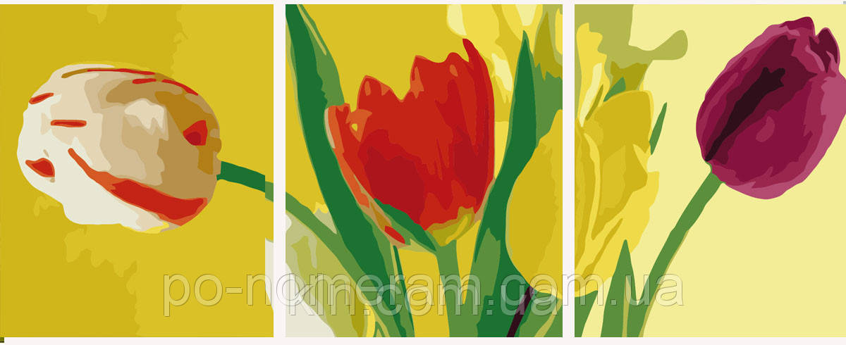 Картина за номерами Babylon Триптих. Різнобарвні тюльпани MS14055 50 х 150 см, фото 1