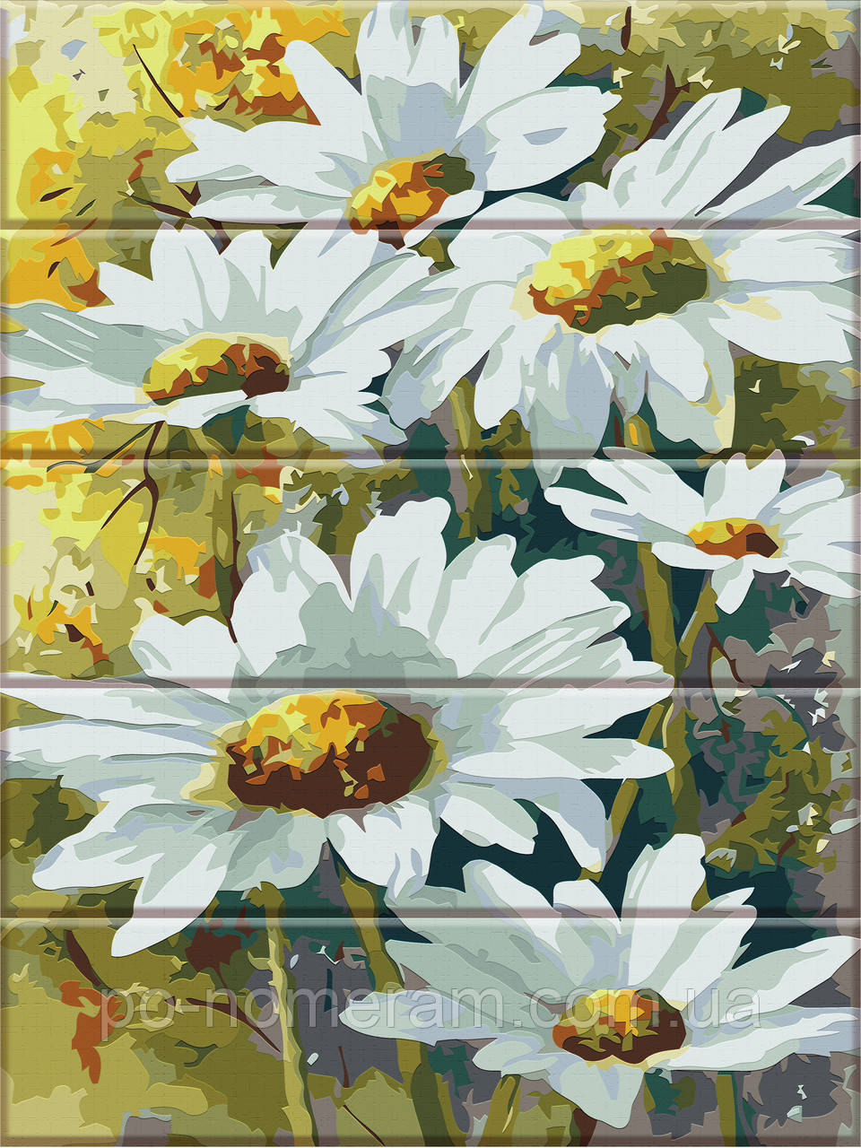 Акційна Картина за номерами ArtStory Ромашки (ASW005) 30 х 40 см, фото 1