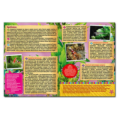 Дитяча енциклопедія "Підводний світ" (блакитна) | Глорія, фото 4