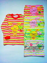 Дитяча футболка з довгим рукавом 68,74,80,86 см (3,4,5,6,7,8,9,10,11,12 місяців) 20(68/74)