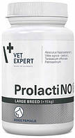 46138 VetExpert ProlactiNO Large Breed Таблетки, 40 шт