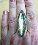 Золотистий лабрадор маркиз 35.80 карат від студії LadyStyle.Biz, фото 3