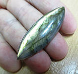 Золотистий лабрадор маркиз 35.80 карат від студії LadyStyle.Biz, фото 5