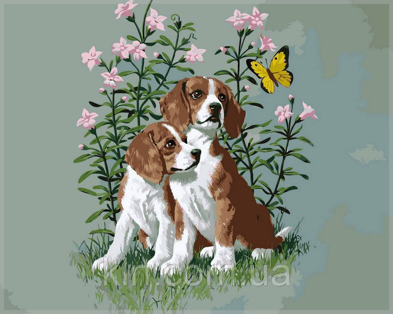 Картина за номерами Babylon Два цуценята VP234 40 х 50 см, фото 1