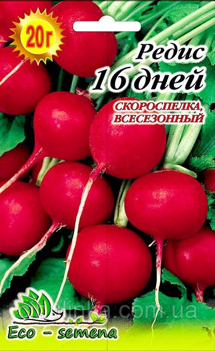 Насіння редис 16 днів, 20 г, фото 1