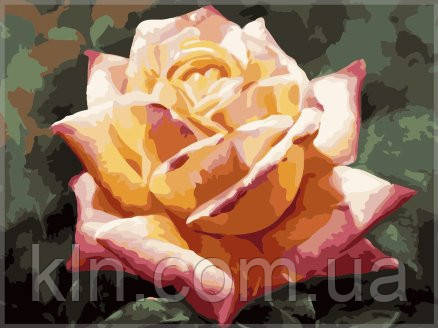 Картина за номерами Menglei Троянда Глорія VD032 30 х 40 см, фото 1