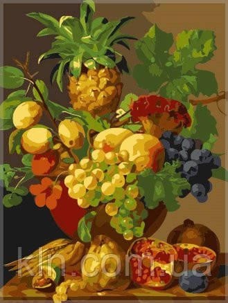 Картина за номерами Menglei Натюрморт із фруктів VD035 30 х 40 см, фото 1