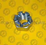 Гайки шестигранні корончасті прорізні ГОСТ 5918-70, DIN 935. М24, фото 4