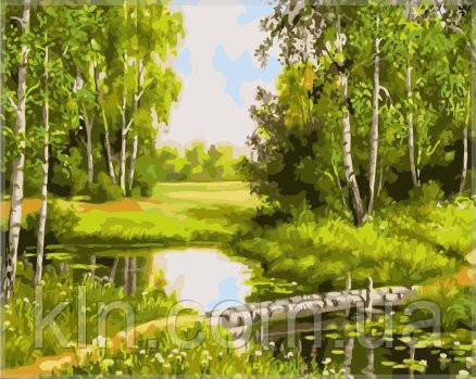 Картина за номерами Menglei Берези VS038 40 х 50 см, фото 1