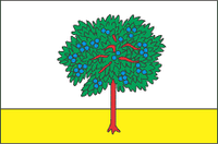 Флаг Богодухова