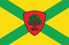 Прапор Докучаєвська