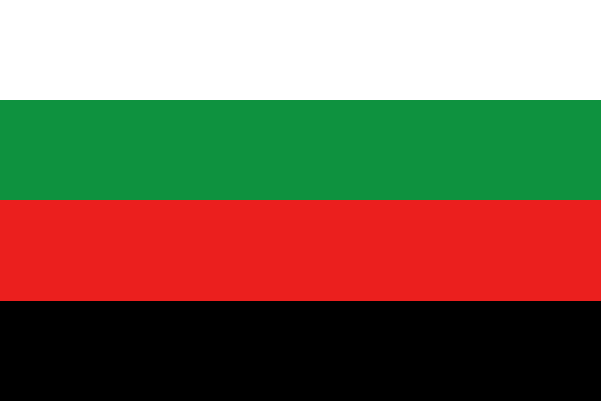 Прапор Селидового