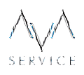 AVA SERVICE