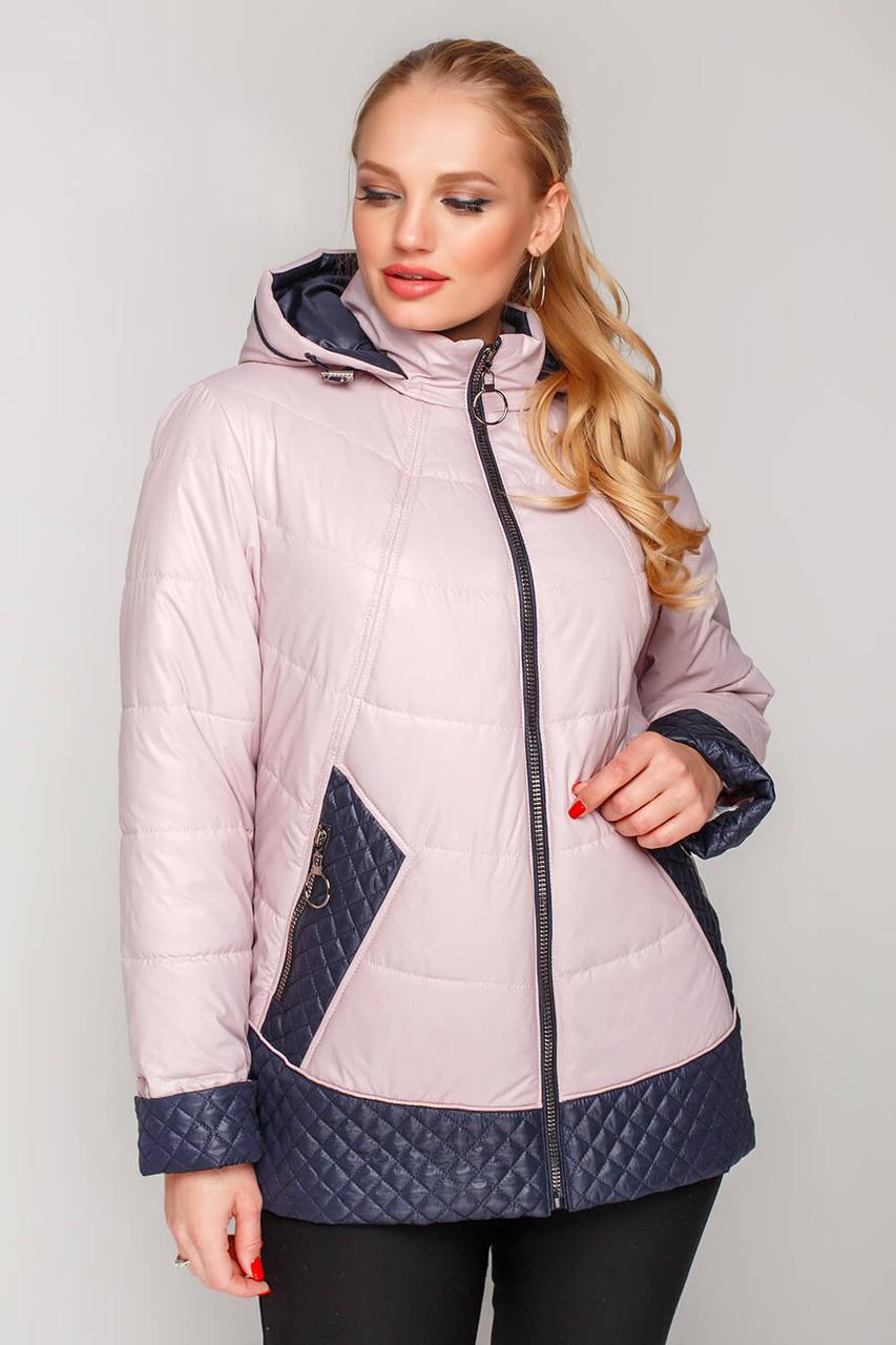 Жіноче демісезонна куртка великий розмір 62 пудрова, фото 1