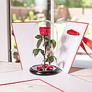 Коробка для троянди в колбі 22*22*33 см., фото 4