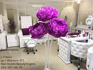 Педикюрное кресло Трон Queen, Стул для мастера педикюра  2118, Стул мастера Queen, Маникюрный стол Queen 8