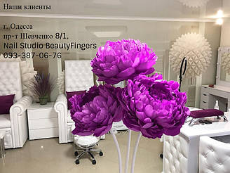 Педикюрное кресло Трон Queen, Стул мастера Queen, Маникюрный стол Queen 8