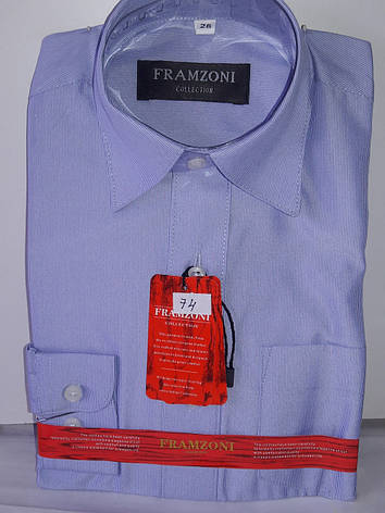 Сорочка дитяча з довгим рукавом dd-0074 Framzoni блакитна в дрібну смужку класична, фото 1