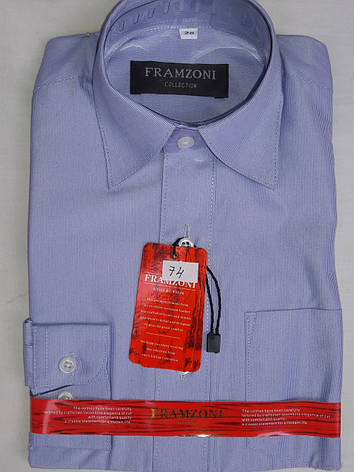 Сорочка дитяча з довгим рукавом dd-0074 Framzoni блакитна в дрібну смужку класична, фото 2